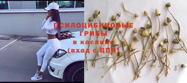 сатива Алзамай