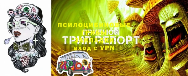 сатива Алзамай