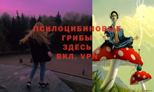 mix Абинск