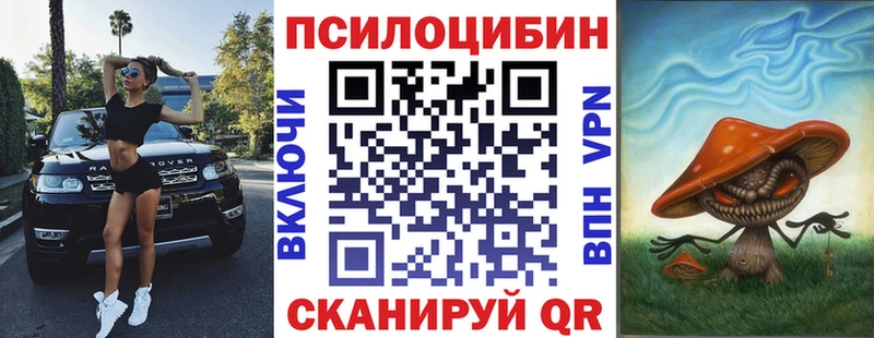 что такое наркотик  kraken ONION  Псилоцибиновые грибы мухоморы  Шахты 